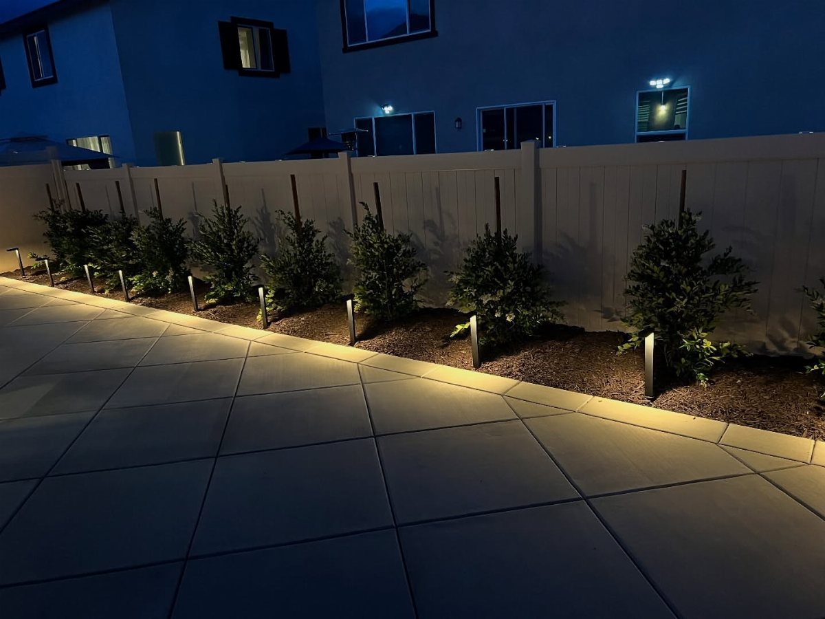 Small green shrubs planted along a white fence and illuminated by pathway lights at night.