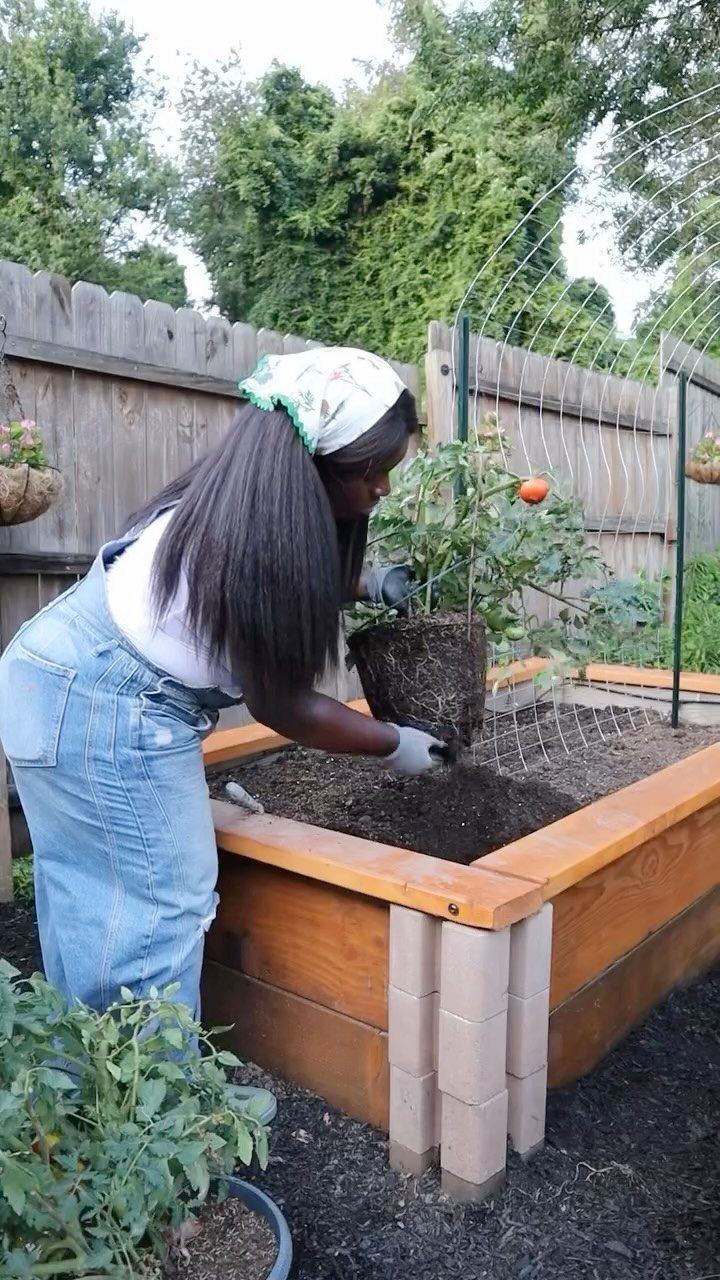 Above Ground Garden Ideas: 12 Ways to Build a Raised Bed 2 A woman planting a small shrub into a large wooden raised garden bed outdoors.