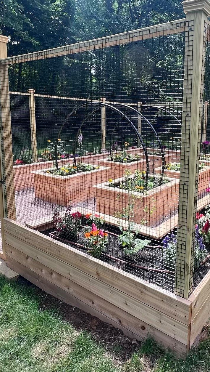 Above Ground Garden Ideas: 12 Ways to Build a Raised Bed 7 Wooden raised garden beds filled with colorful flowers inside a large wire mesh enclosure.