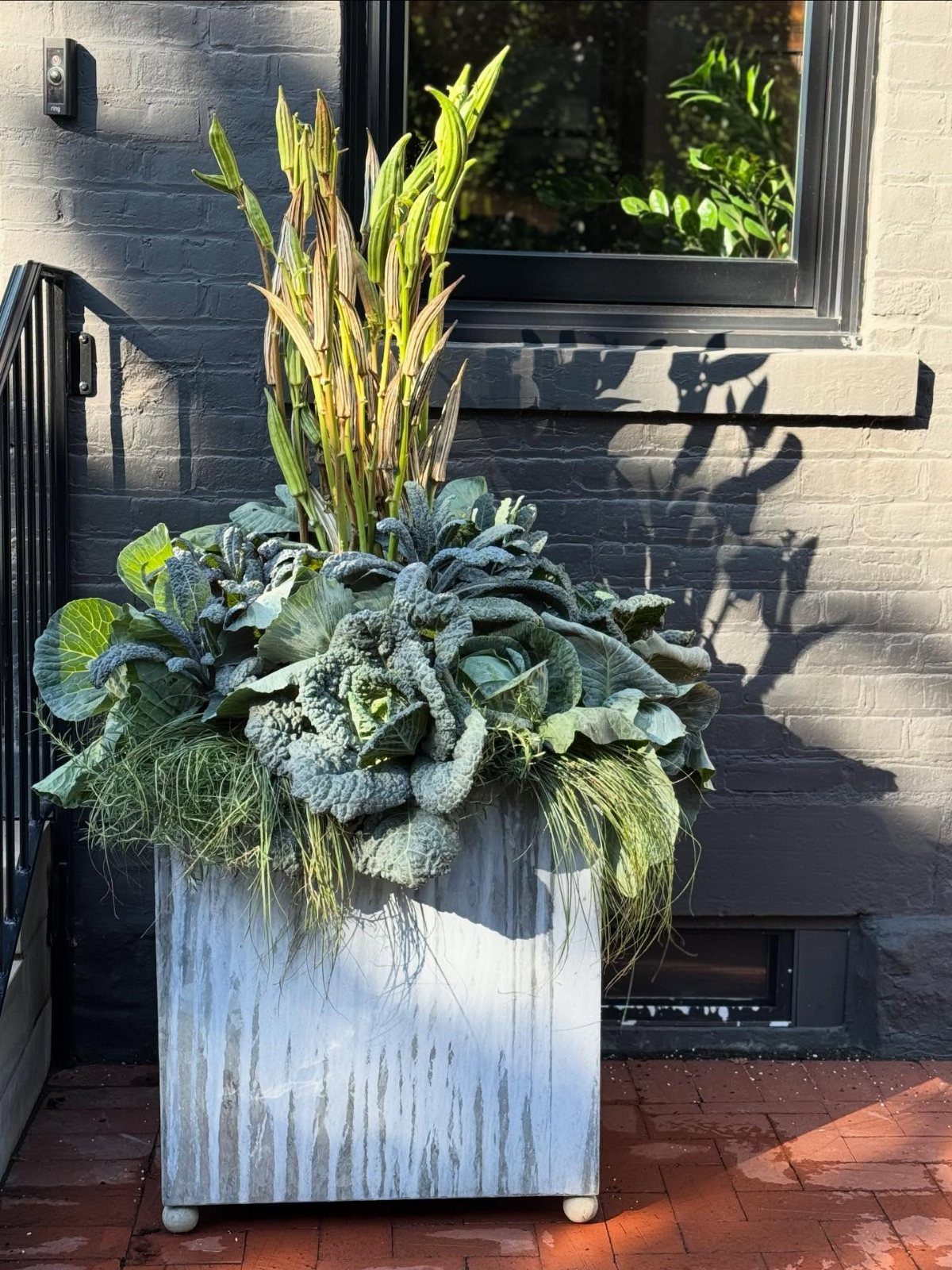 Above Ground Garden Ideas: 12 Ways to Build a Raised Bed 4 A large galvanized metal planter filled with tall snake plants and leafy green kale on a brick patio.