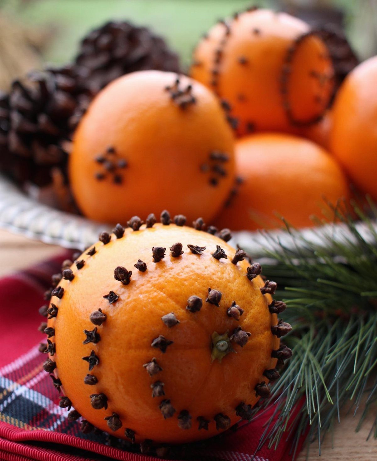 Orange pomanders studded with dark cloves arranged in a bowl with pinecones and greenery.