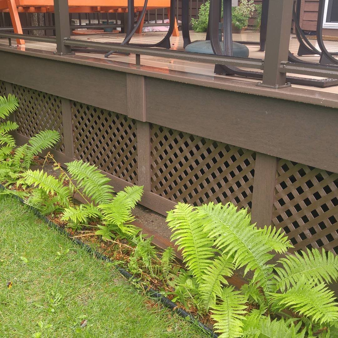 Composite Deck Skirting: 5 Ideas That Close the Gap 2 Brown wooden deck with lattice skirting panels and green ferns in the foreground garden.