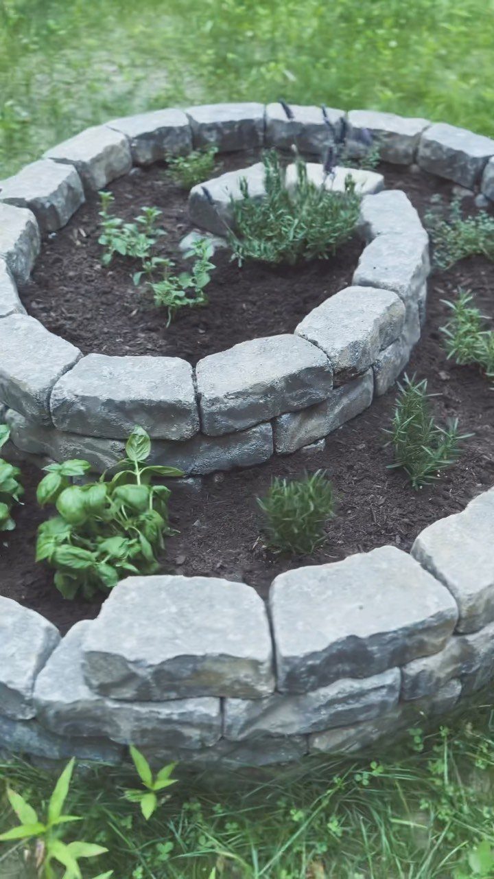 25 Creative and Gardening Ideas for Backyards Big or Small 23 A spiral stone raised garden bed containing various small green plants and herbs in dark soil.