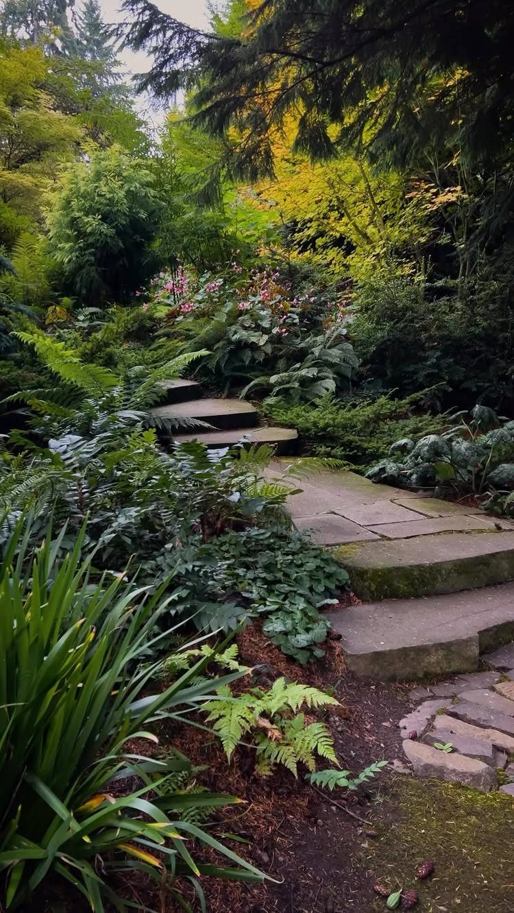 25 Creative and Gardening Ideas for Backyards Big or Small 5 A winding stone path curves through a lush garden filled with green ferns and dense foliage.