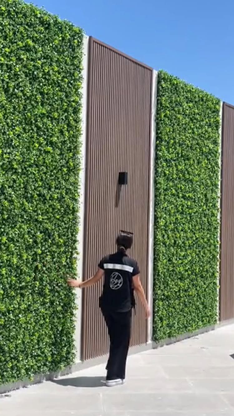 A person stands before a tall privacy wall featuring green hedge panels and brown wooden slats.