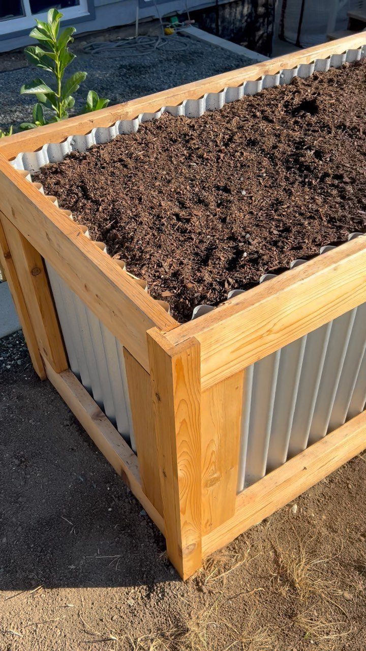 A wooden framed garden bed with corrugated metal sides filled with dark soil.