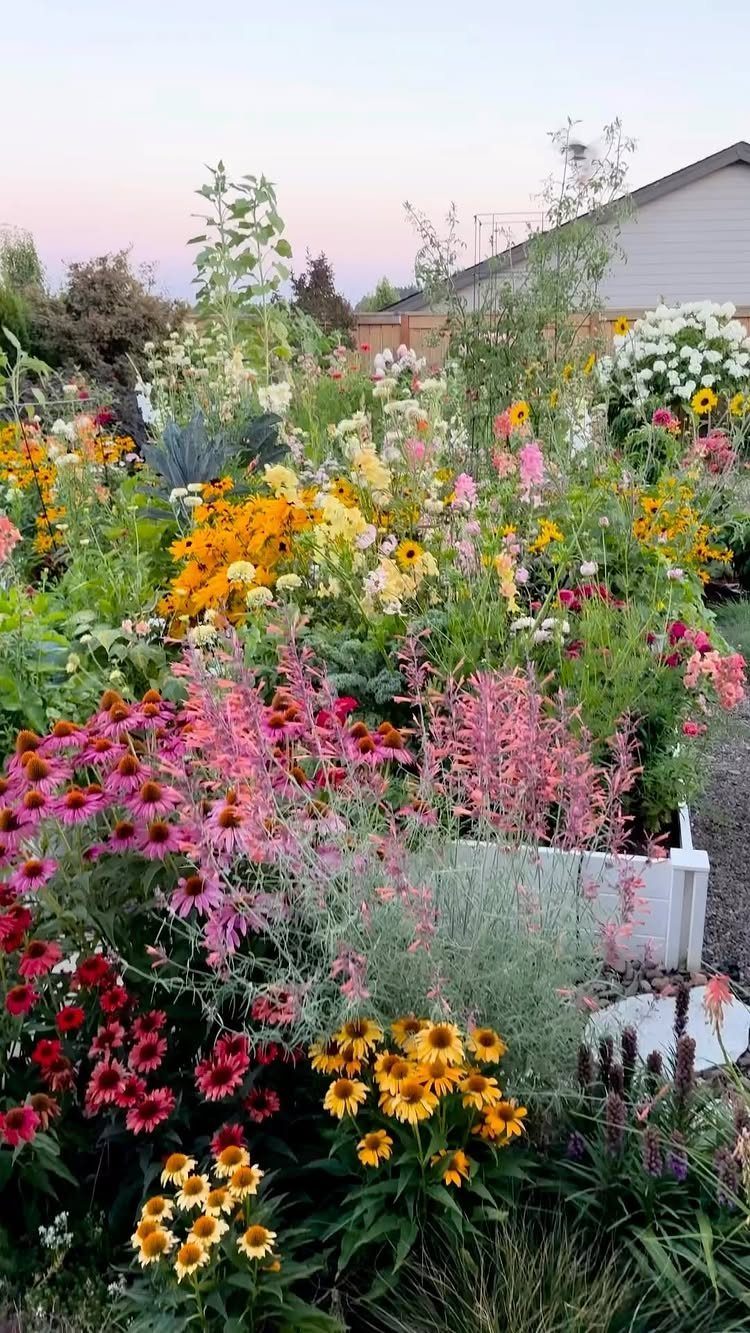 Colorful garden bed featuring pink coneflowers, yellow daisies, and various flowering plants in a backyard setting.