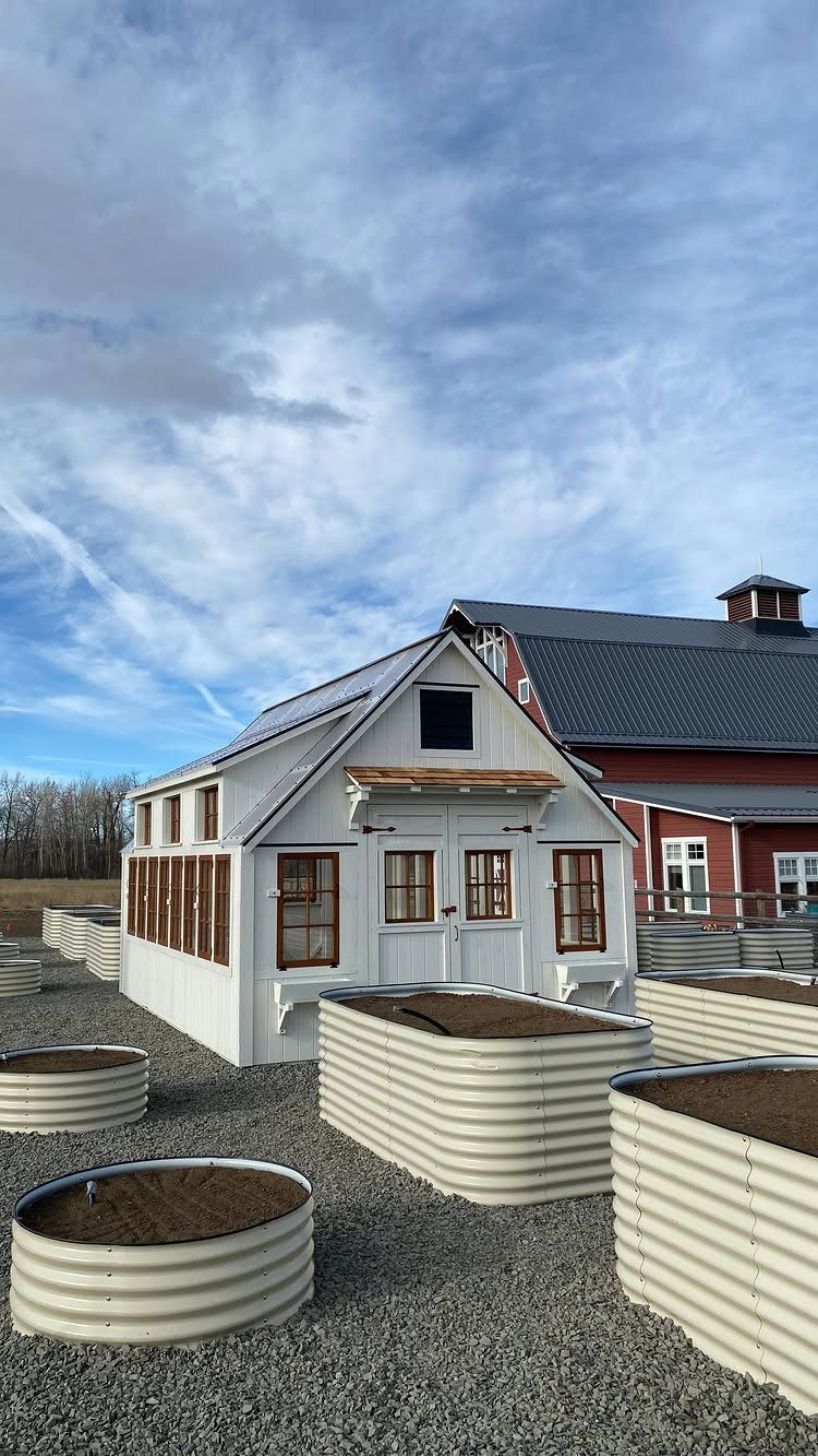 10 Ideas for Farmhouse Shed Home Style 3 White farmhouse shed surrounded by several raised corrugated metal garden beds in a gravel yard.