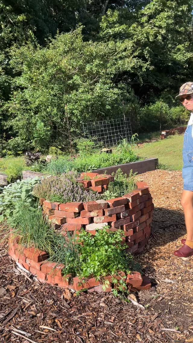 A circular brick garden bed filled with various green culinary herbs on mulch.