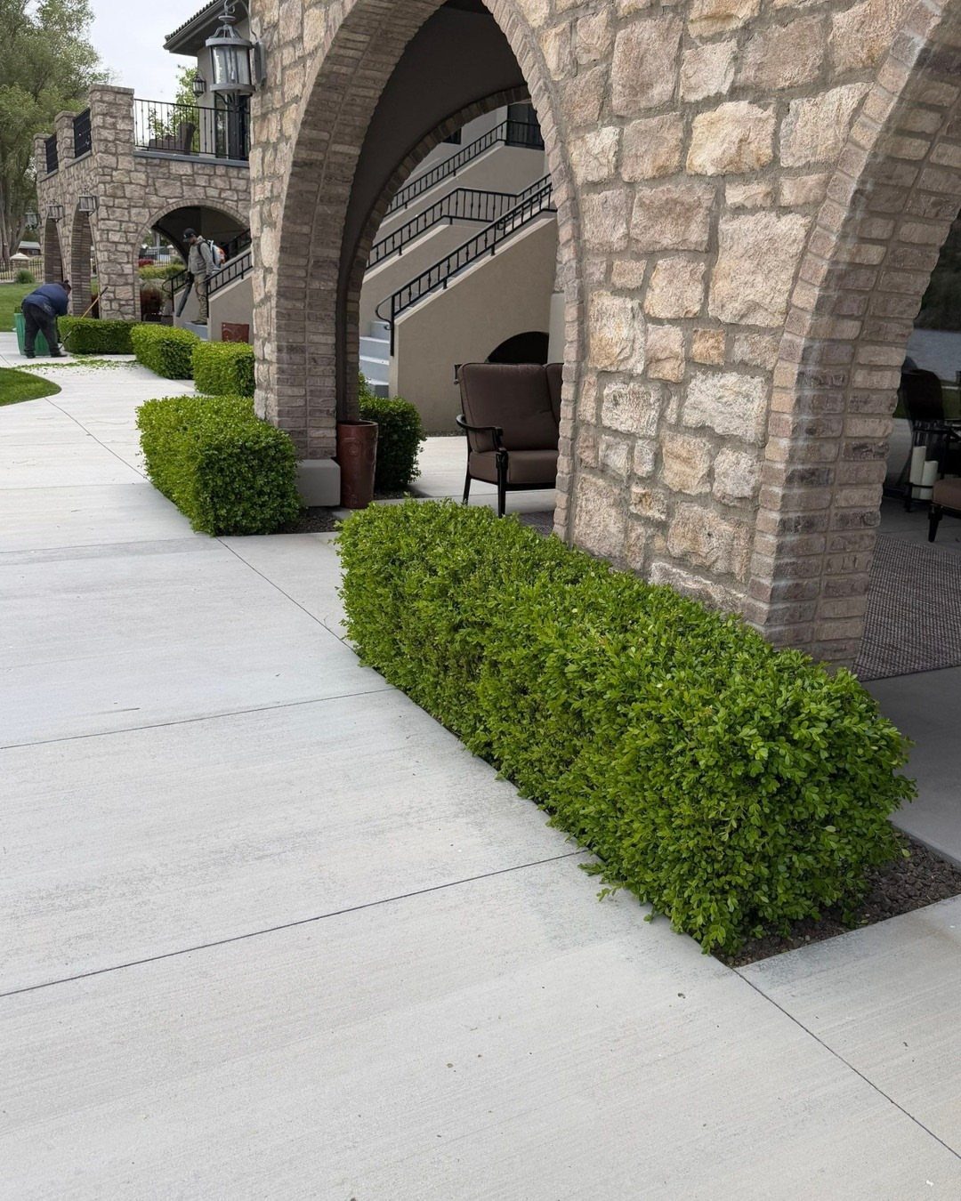 Trimmed green boxwood hedges lining a concrete walkway beside a stone archway.