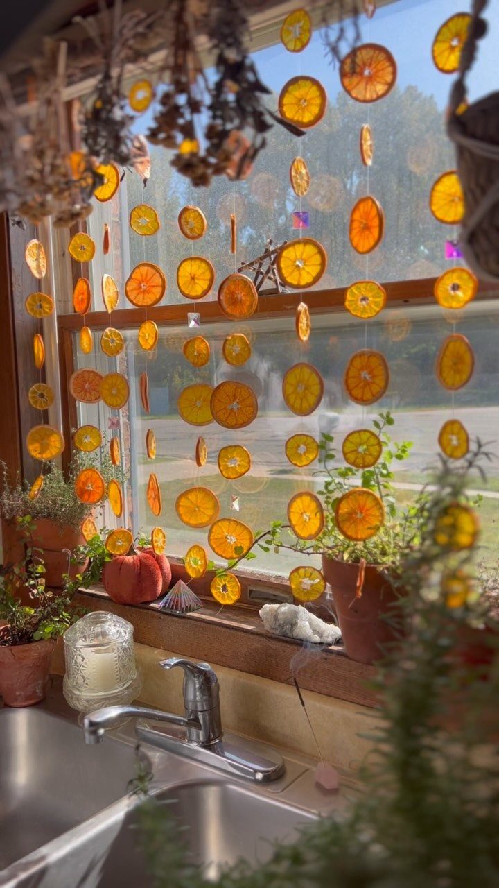 Dried orange slice ornaments hanging in rows in front of a bright kitchen window.