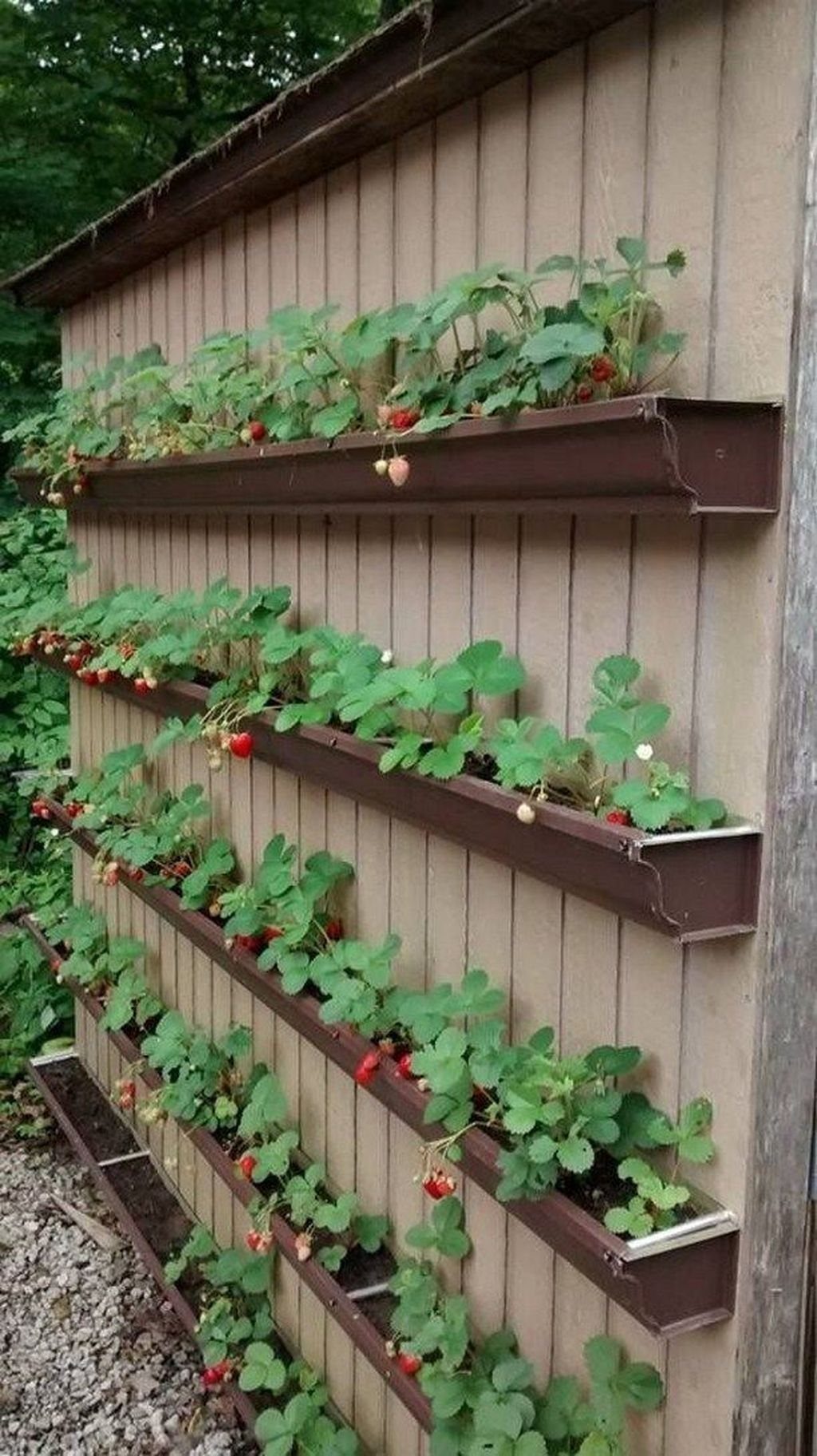 9 Raised Garden Ideas DIY Crafters Build from Scrap and Stone 9 Strawberry plants growing in brown gutter-style wall-mounted planters attached to a wooden garden wall.