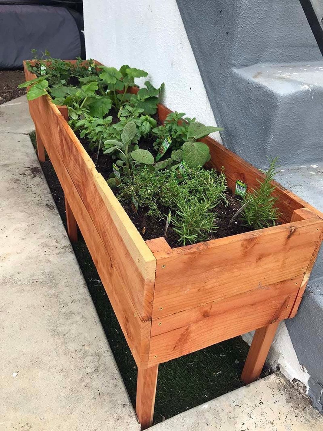 6 Raised Herb Garden Ideas for Every Space and Skill Level 5 A long wooden planter box filled with green herbs sitting on artificial grass.