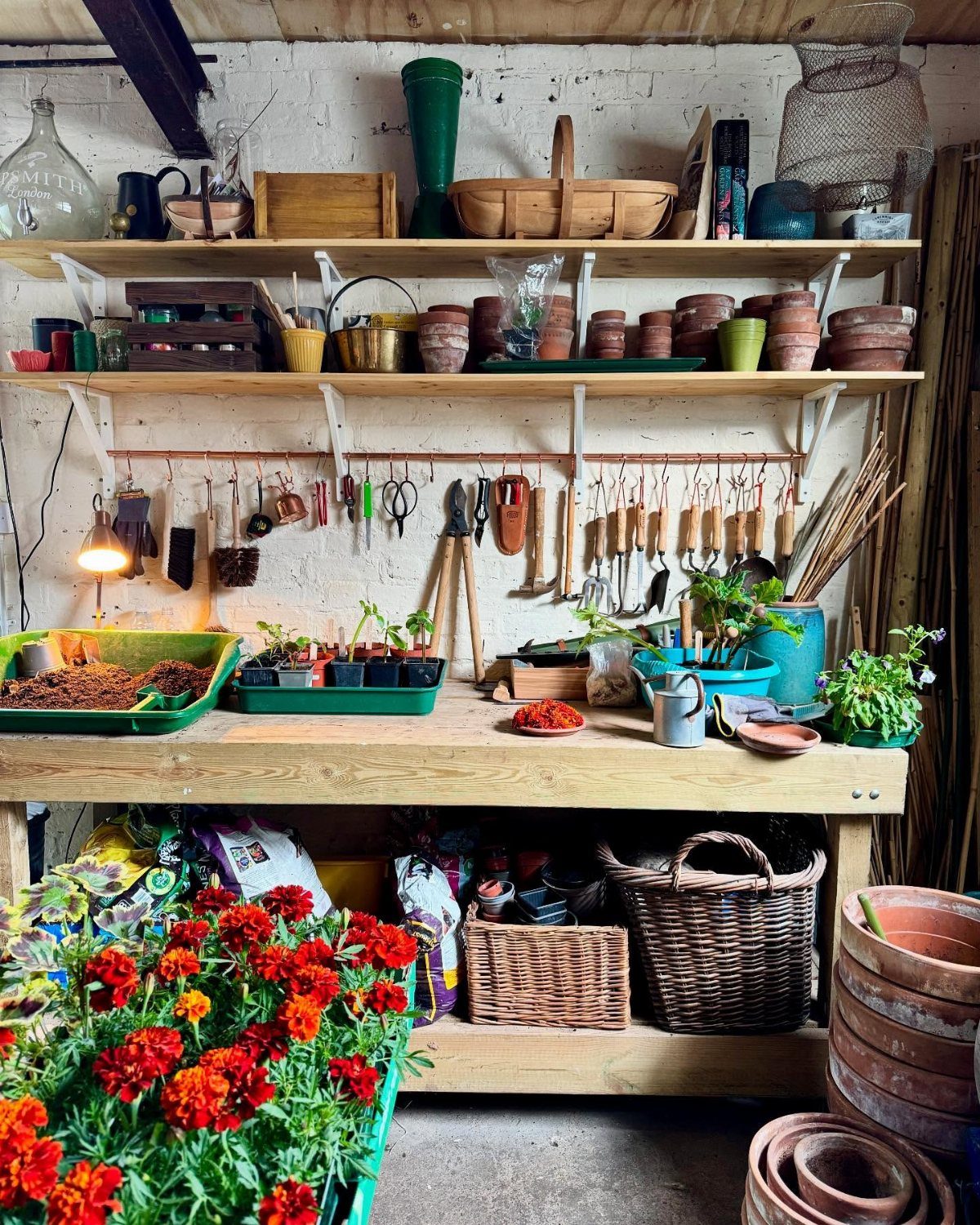 A wooden potting bench filled with terracotta pots, gardening tools, and small green plants.